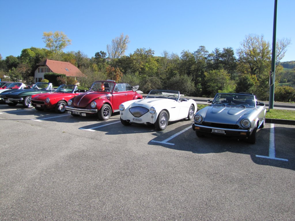 austinhealey1003.jpg
