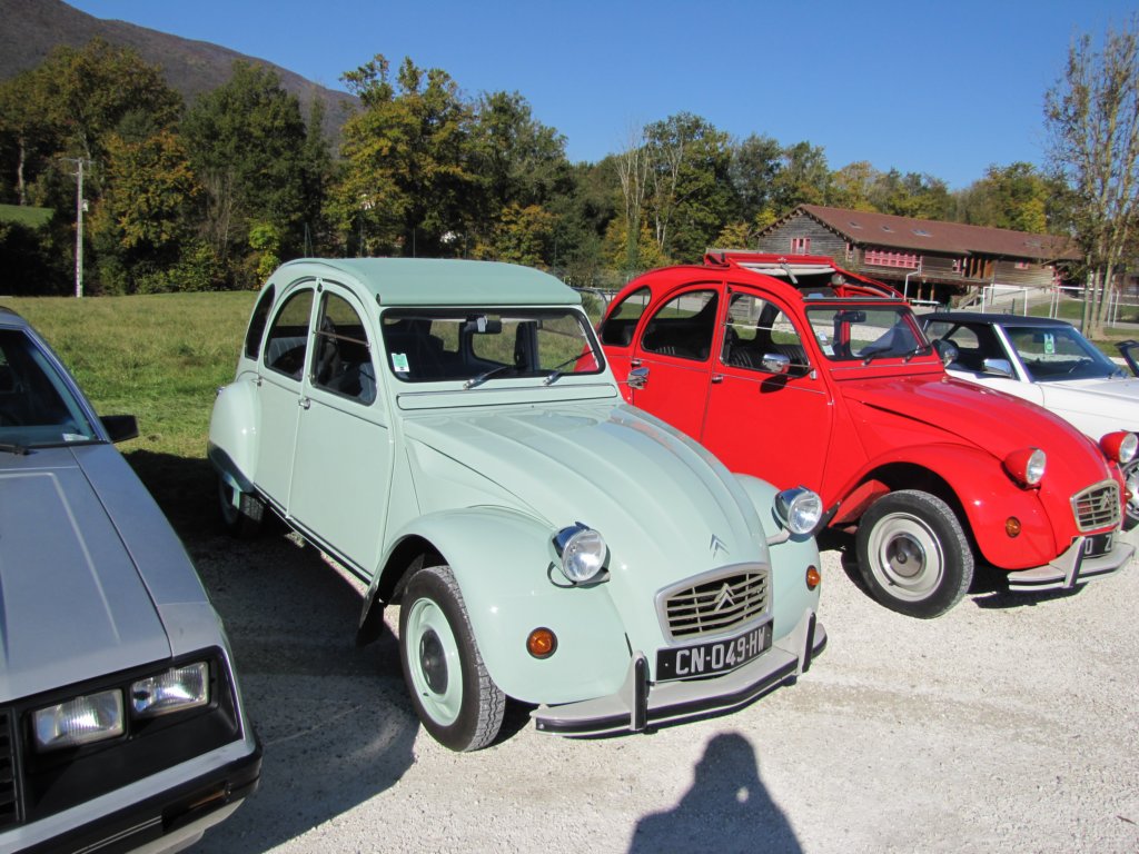citron2cv.jpg