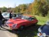 jaguaretype5_small.jpg