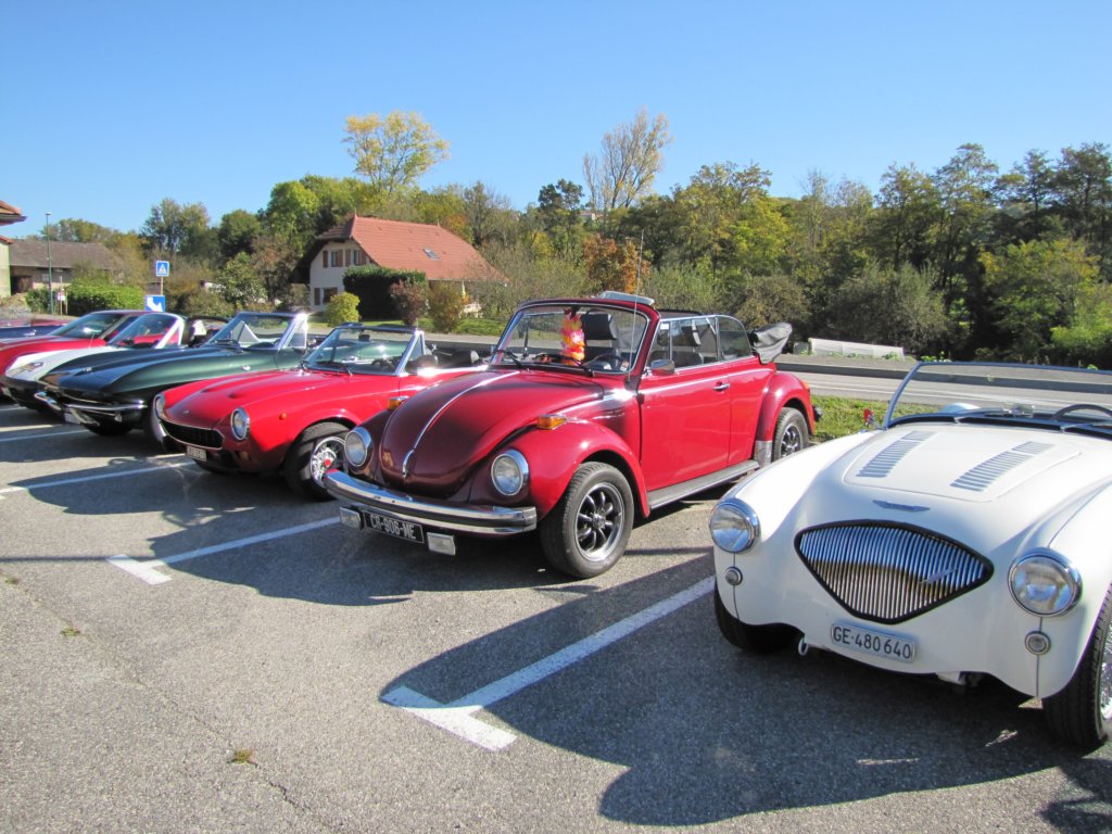 vwbeetle5.jpg