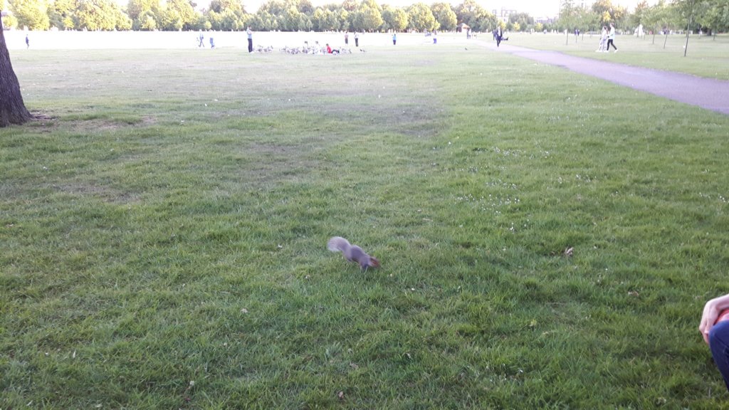 may2017londinium450.jpg