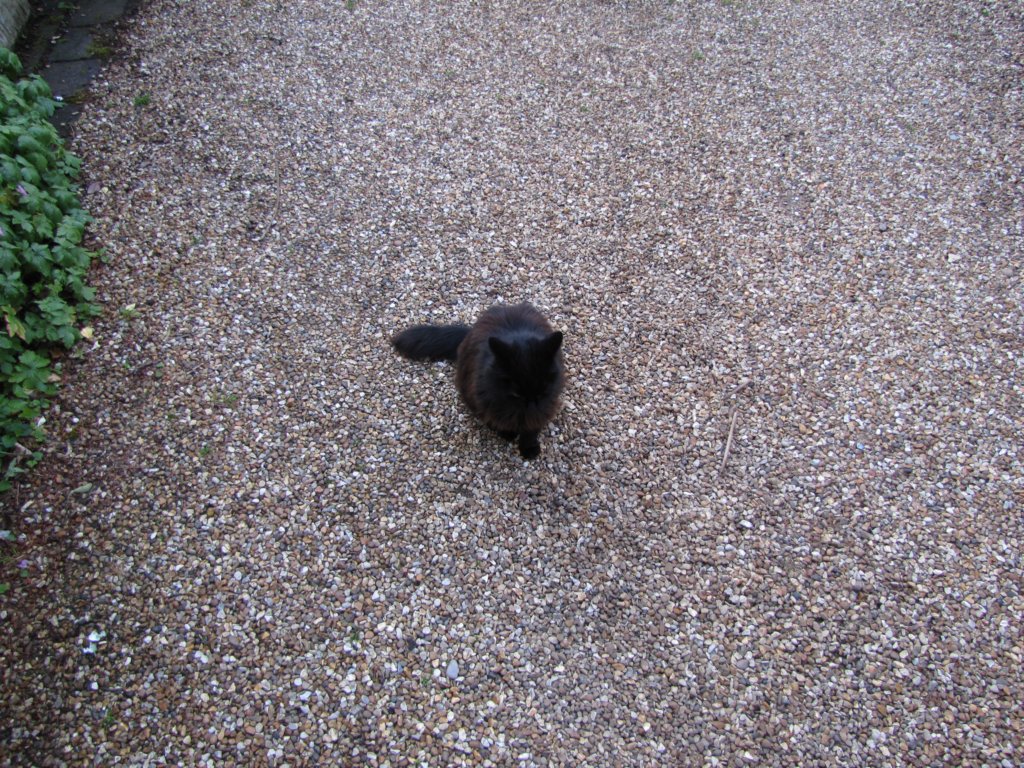 may2017miltonkeynes65.jpg