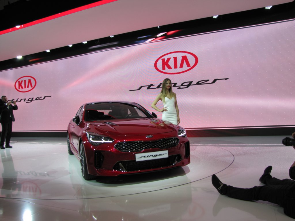 kiastinger5.jpg