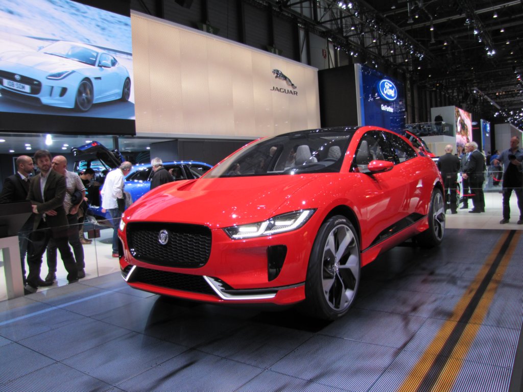 jaguaripace3.jpg