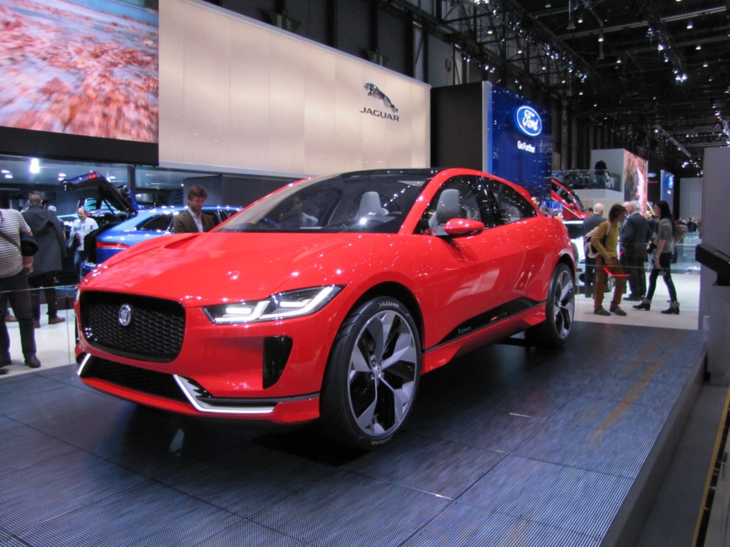 jaguaripace4.jpg