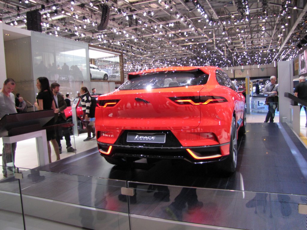 jaguaripace5.jpg