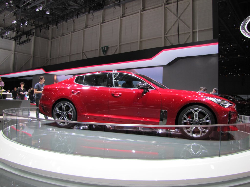 kiastinger12.jpg
