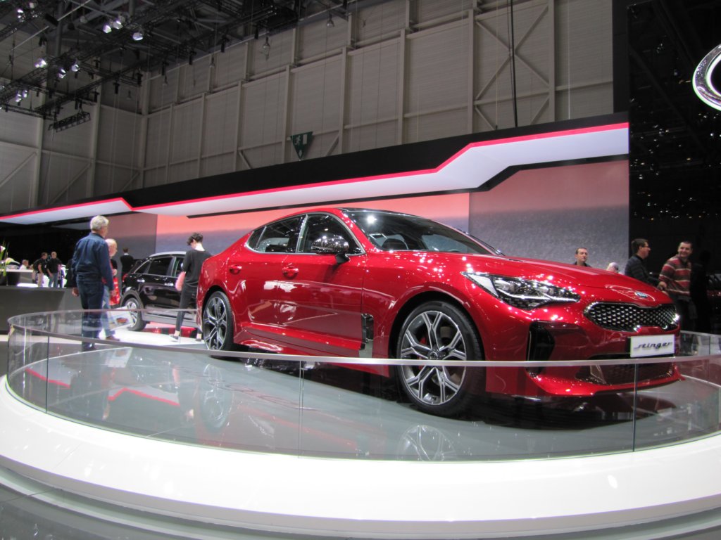 kiastinger5.jpg