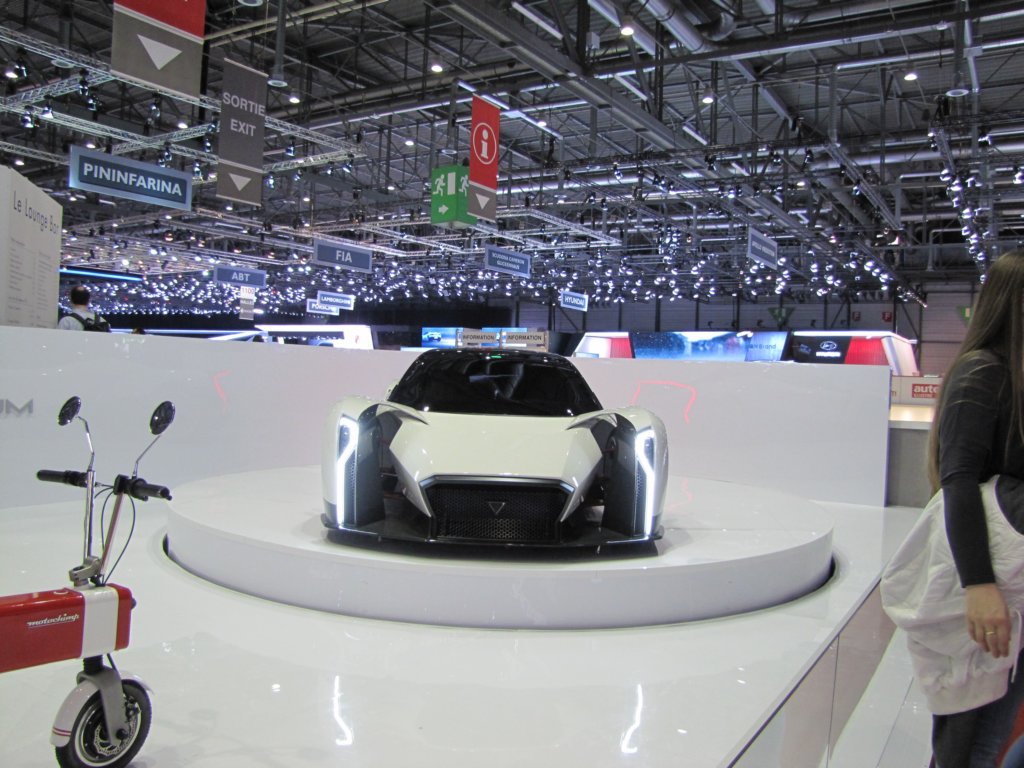 vandaelectricsdendrobium5.jpg