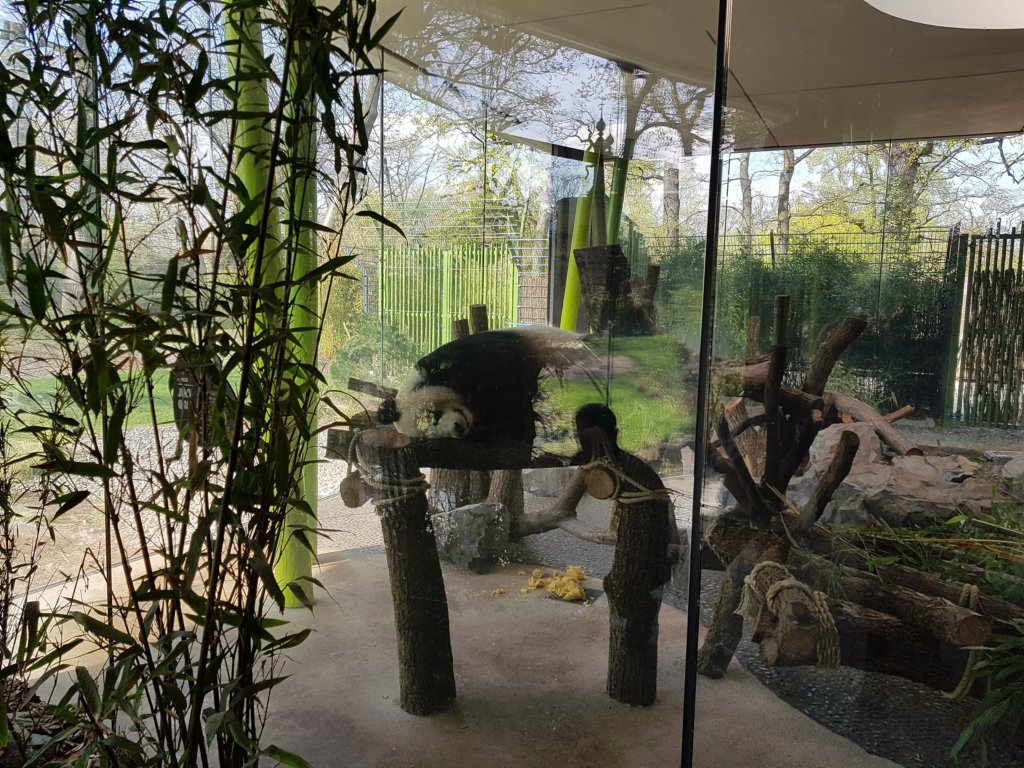 _160811.jpg