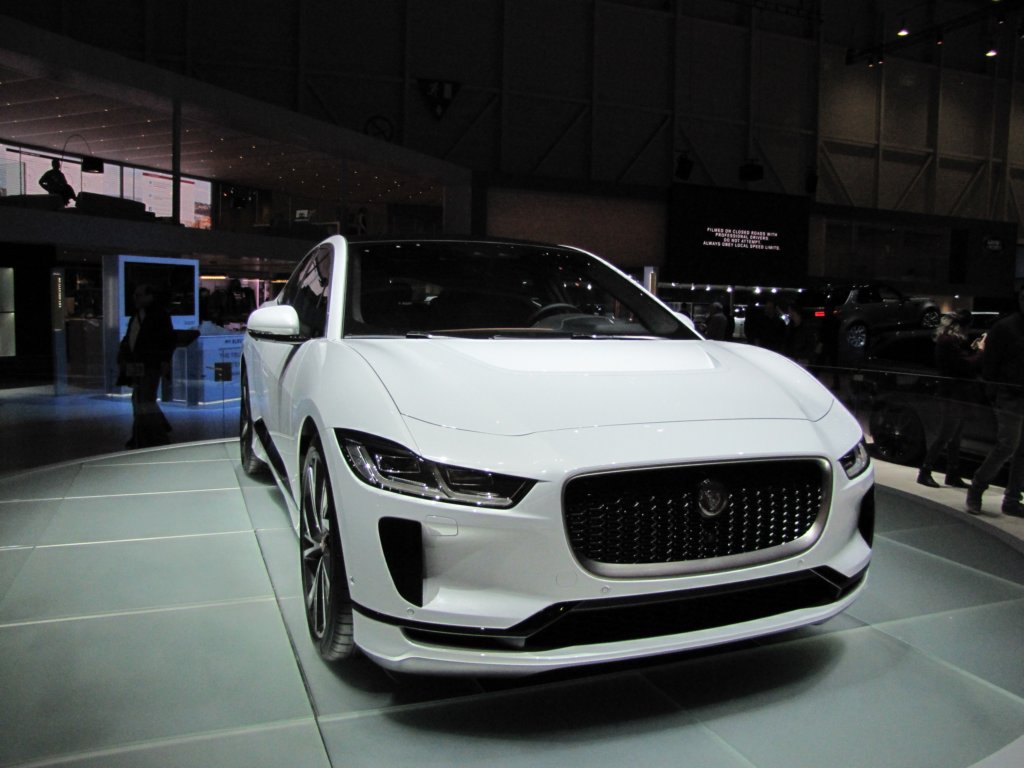 jaguaripaceev400.jpg