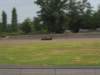 p9150850penf_small.jpg
