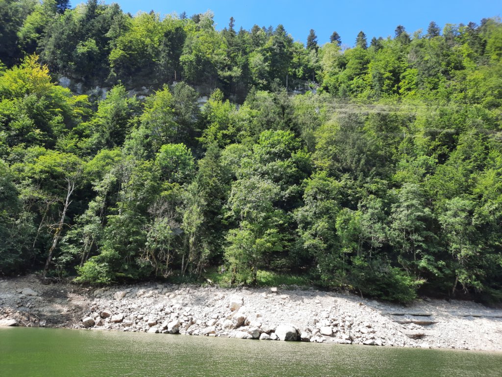 _113748.jpg