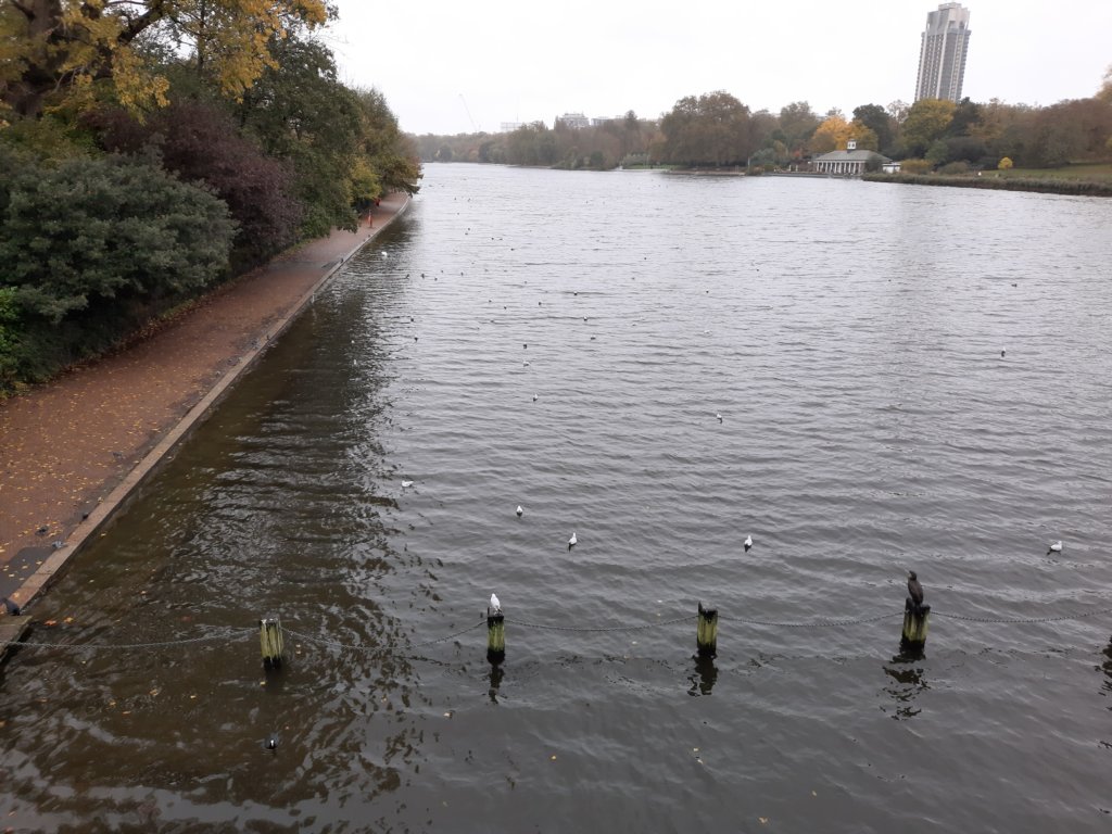 _100236.jpg
