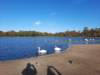 _103312_small.jpg