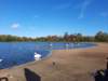 _103316_small.jpg