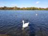 _103328_small.jpg
