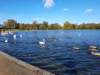_103706_small.jpg