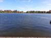 _104142_small.jpg