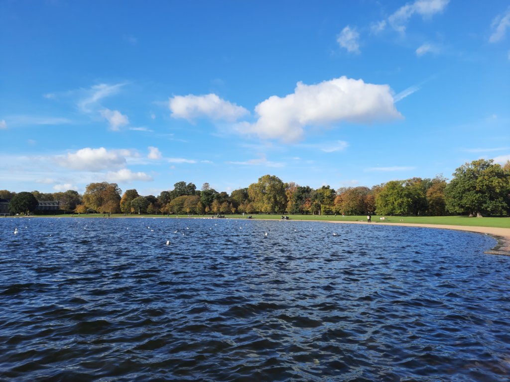 _104919.jpg