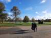_110240_small.jpg