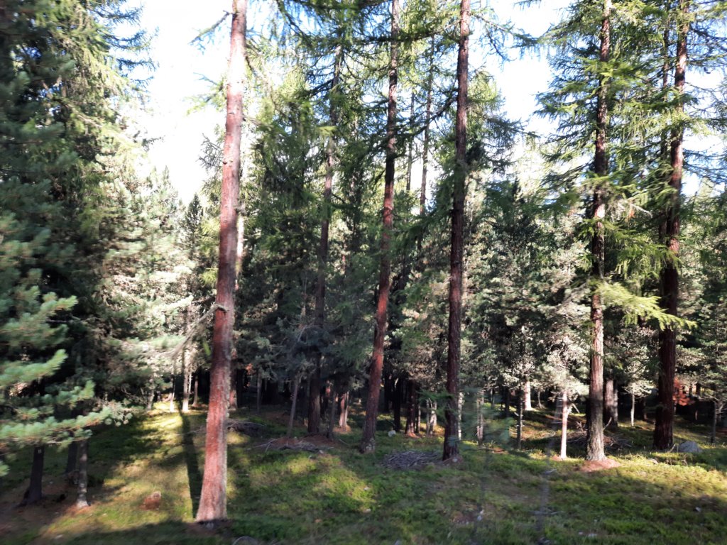 _094914.jpg