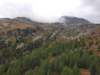 _101016_small.jpg