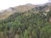 _101034_small.jpg