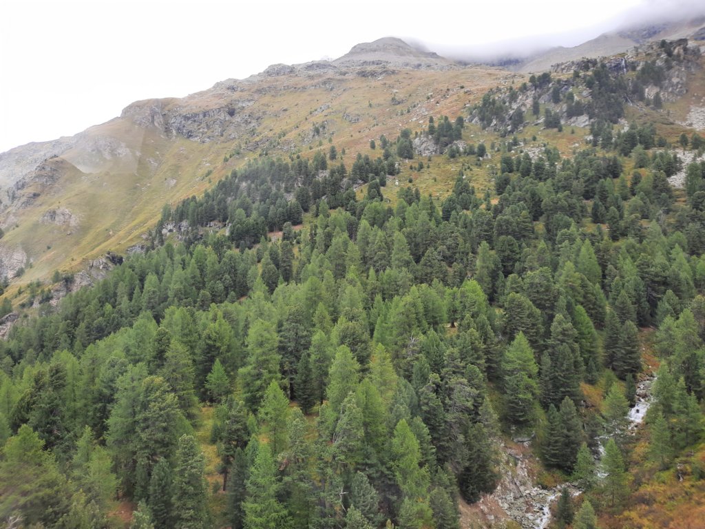 _101040.jpg
