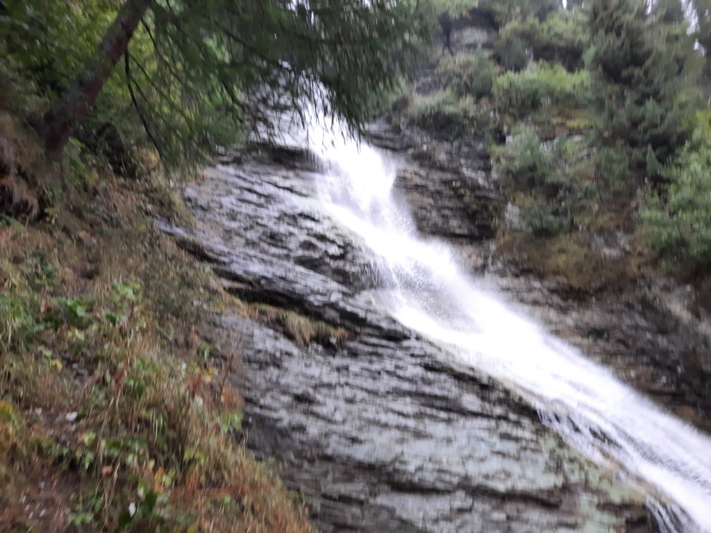 _101640.jpg