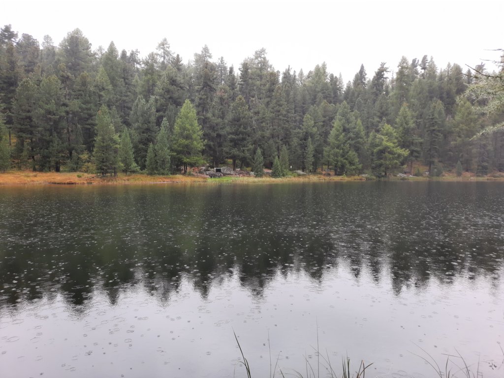 _115247.jpg