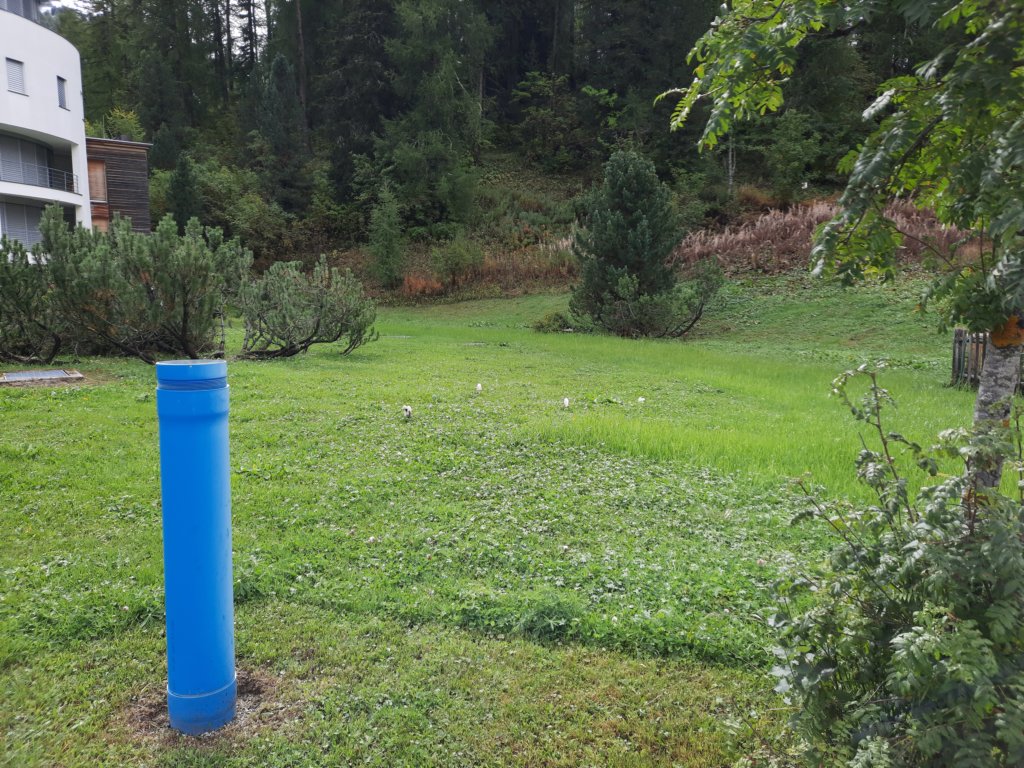 _115440.jpg
