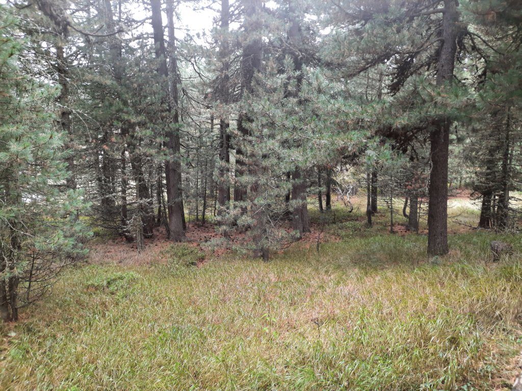 _121210.jpg
