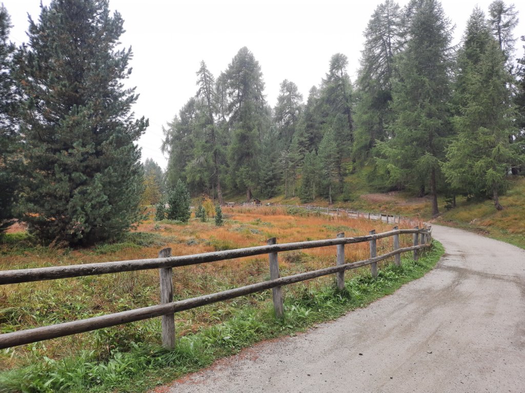 _121448.jpg
