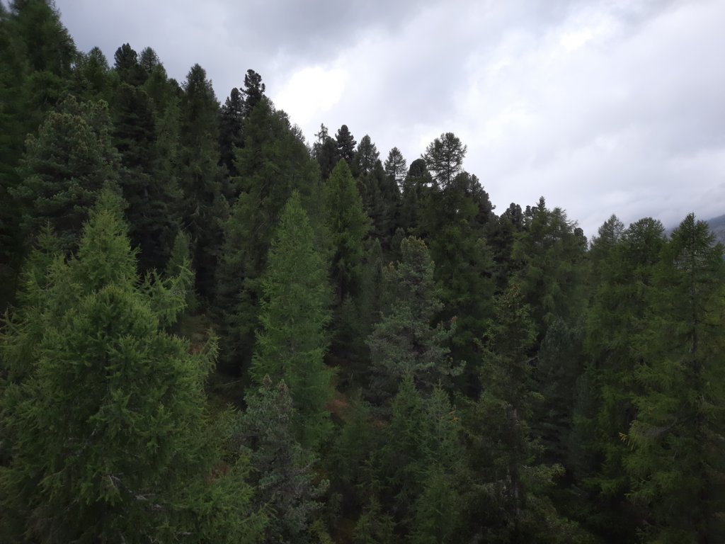 _123147.jpg