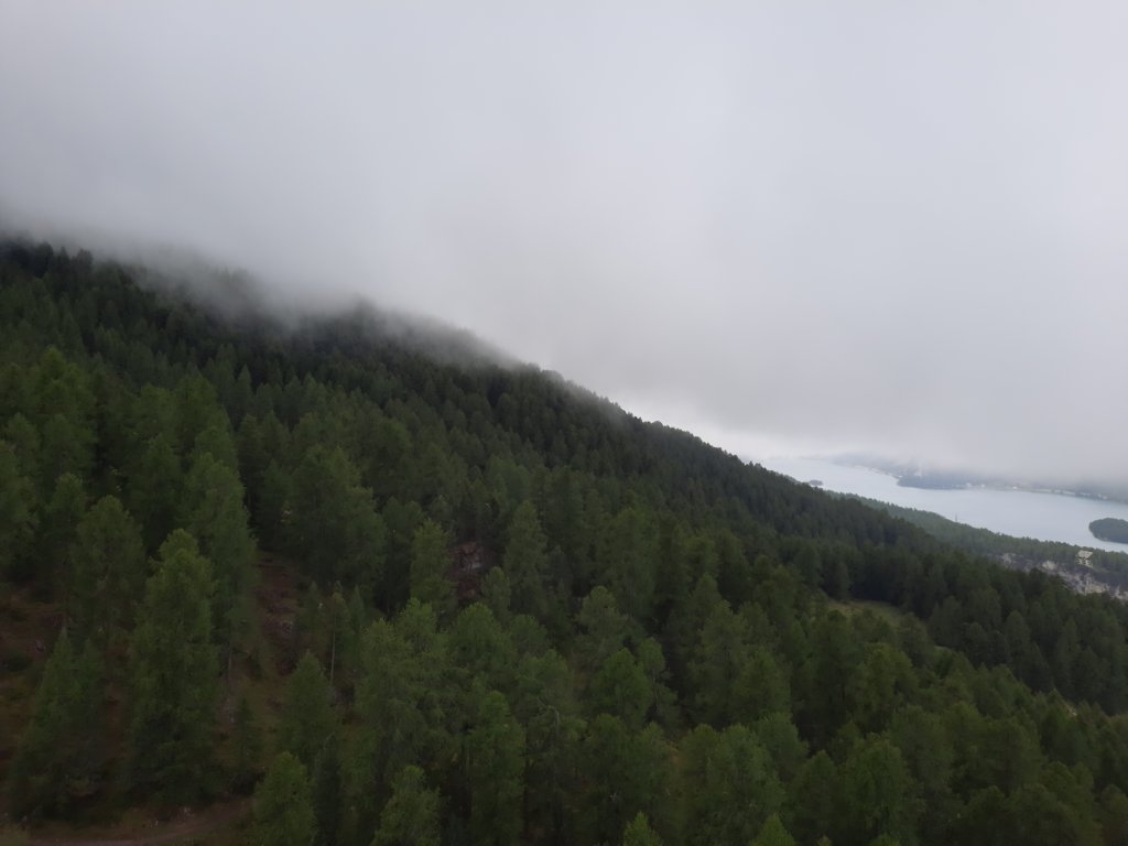 _123339.jpg