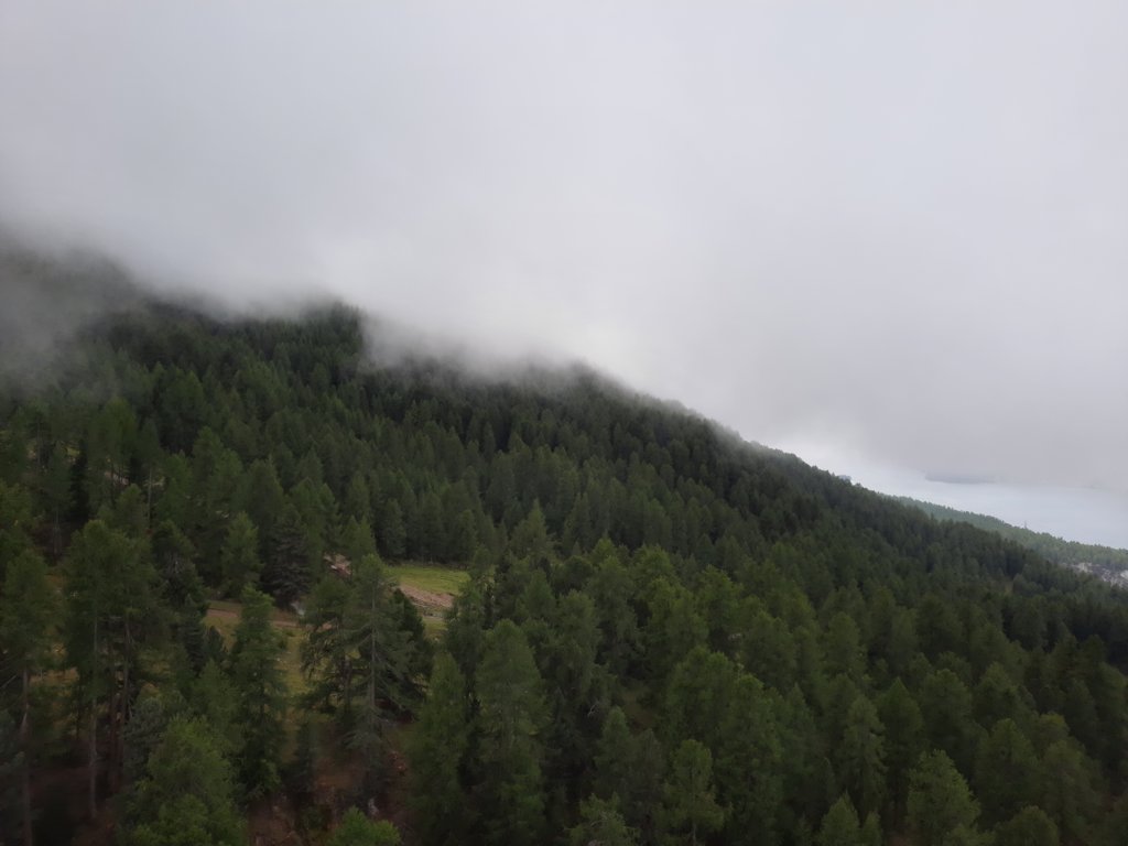 _123359.jpg