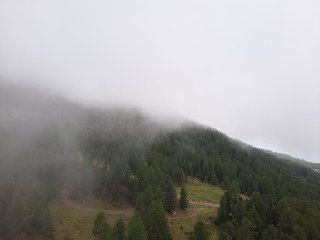 _123410.jpg