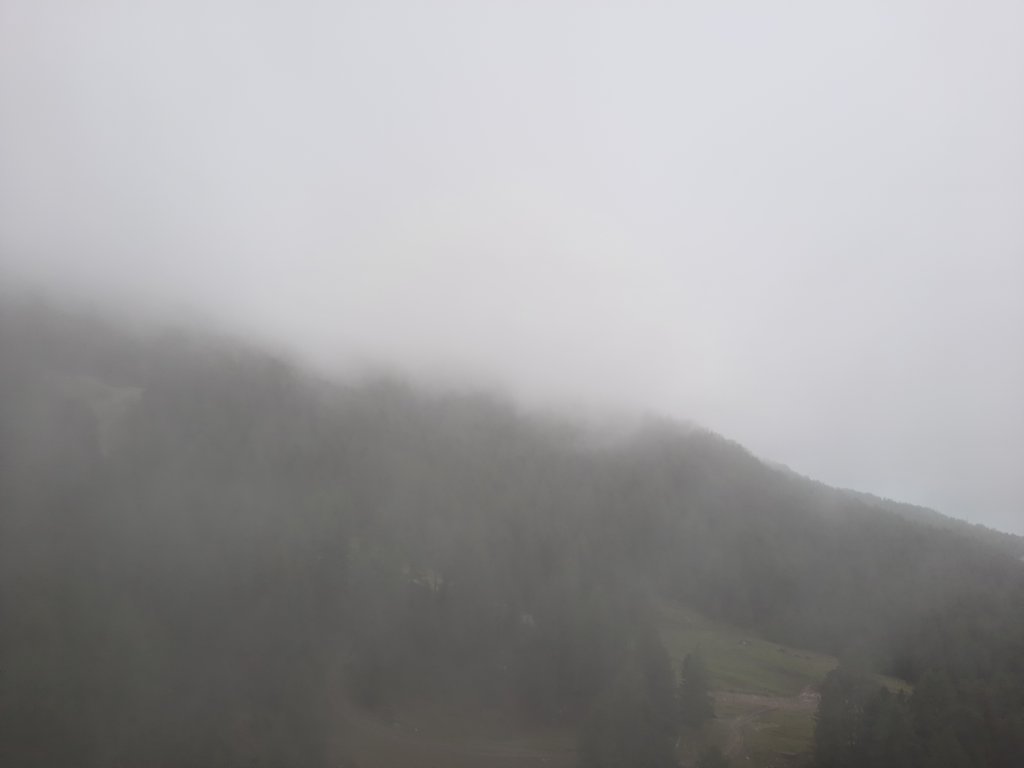 _123415.jpg