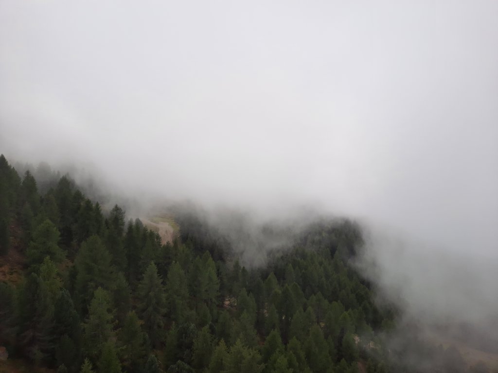 _123431.jpg