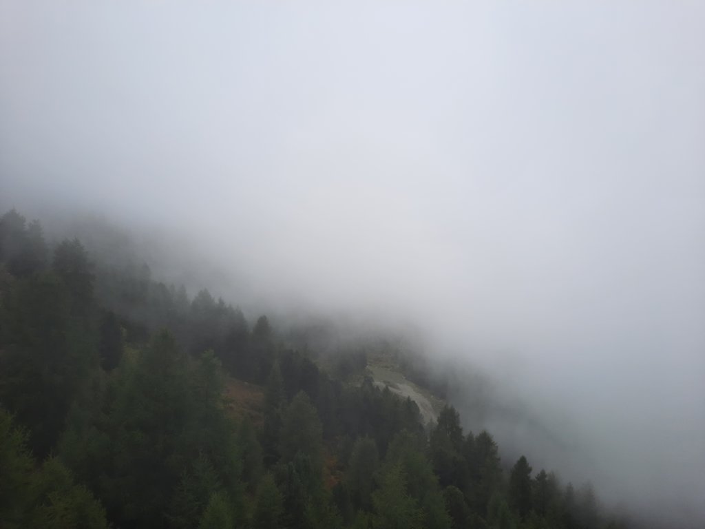 _123451.jpg