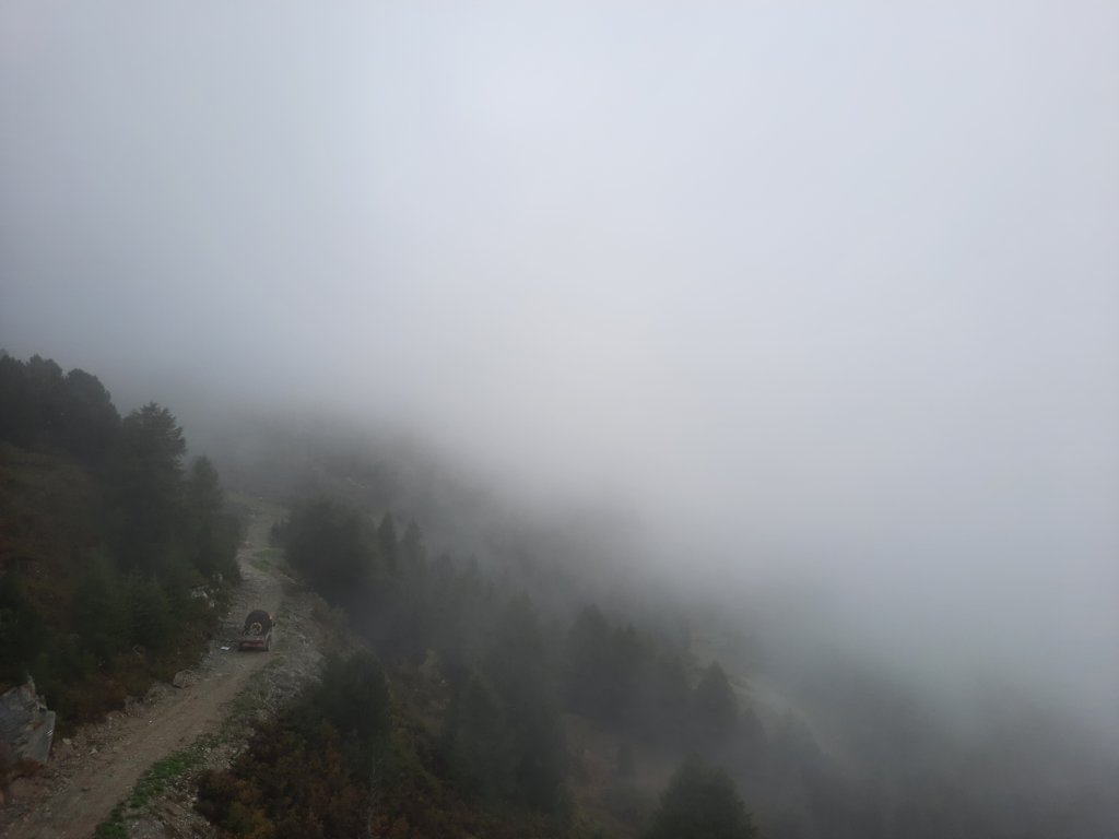 _123459.jpg