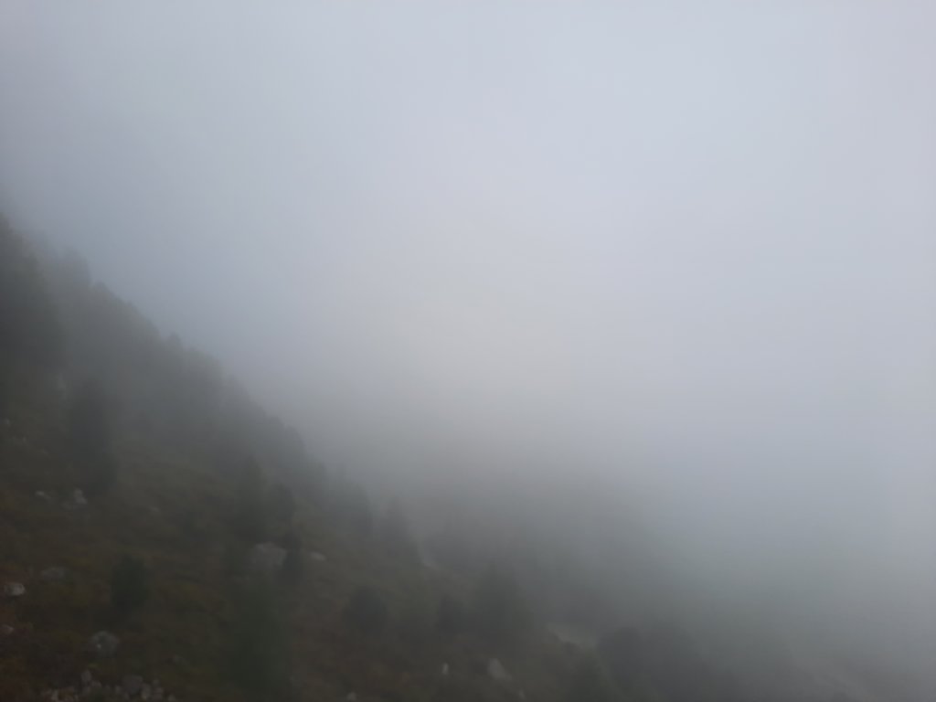_123517.jpg