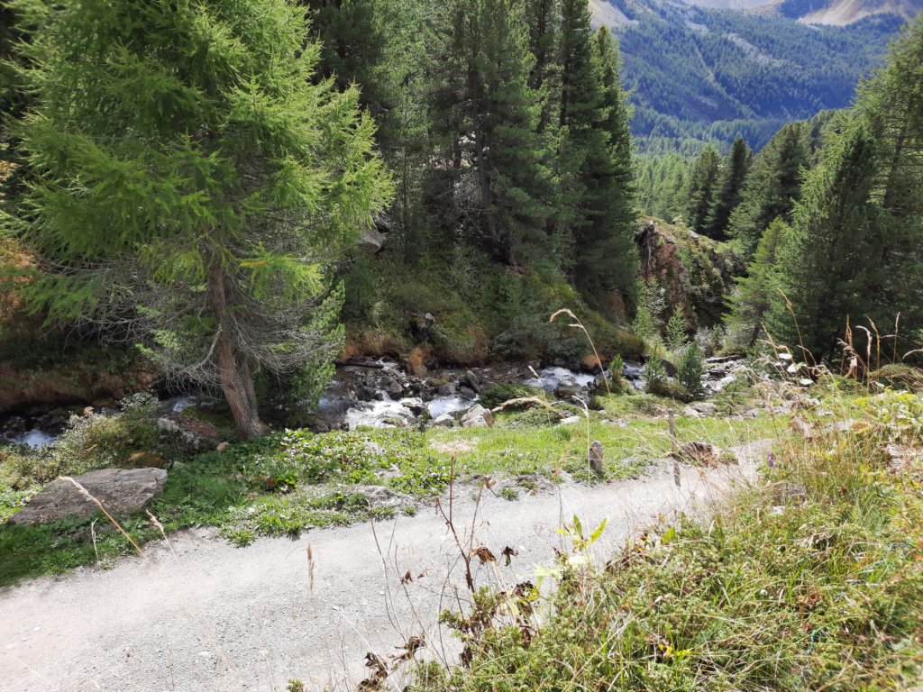 _125942.jpg