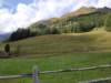 _132050_small.jpg