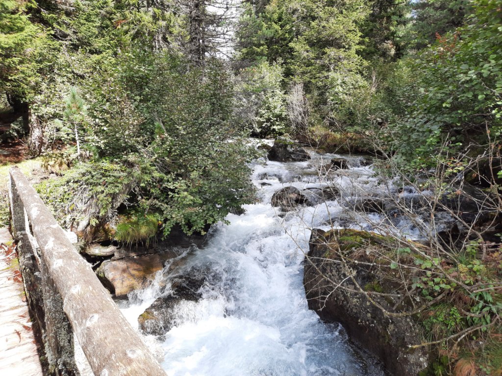 _135919.jpg