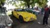 dsc00338_small.jpg