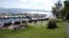 dsc00343_small.jpg