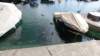 dsc00346_small.jpg