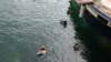 dsc00348_small.jpg